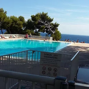 Bandolpiedanleau , Bandol France