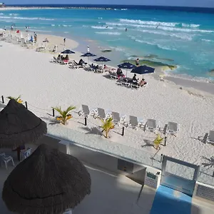 Salvia , Cancún Mexique